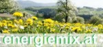 autofreier tag - radlrekord versuch