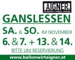 ganslessen