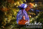 20081128001_small.jpg
