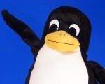 linux.jpg