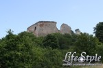 IMG_1528.jpg