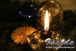 20081205380_small.jpg