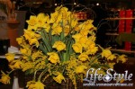 20080307221.JPG