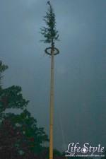 IMG_2771.JPG