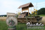 20080710001_small.jpg