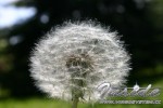 20060511041.jpg