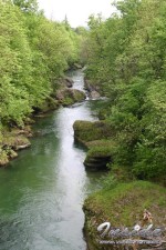 090624E0001_small.jpg