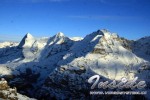 090121E0000_small.jpg